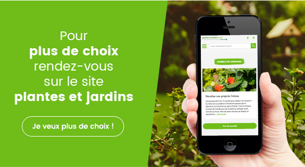 Offre exceptionnelle