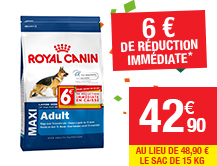 Croquettes Maxi Adult Royal Canin