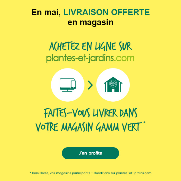 Livraison offerte