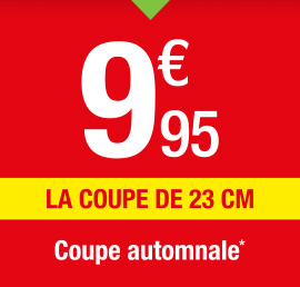 9€95 la coupe automnale