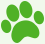 chien