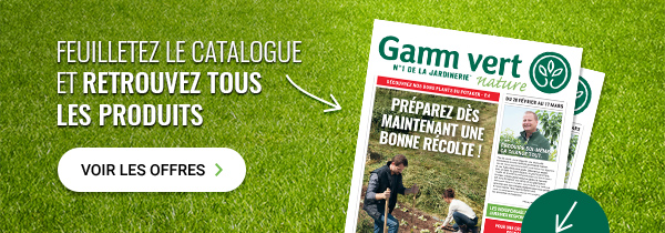 Feuilletez le catalogue et retrouvez tous les produits