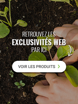 Retrouvez toutes les exclusivités web par ici