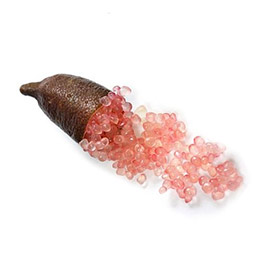 Produit