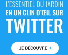 l'essentiel du jardin en un clin d'oeil sur twitter - je découvre
