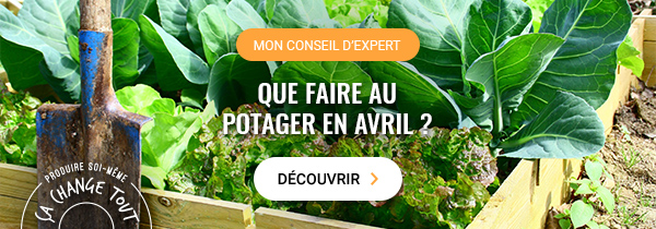 Conseil d'expert : Que faire au potager en avril ?