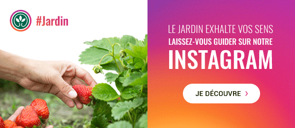 le jardin exhalte vos senslaissez-vous guider sur notre instagram