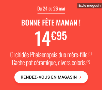 Du 24 au 26 mai Bonne fête maman ! 14,95€ Orchidée Phalaenopsis duo mère-fille.(1) Cache pot céramique, divers coloris.(2) Rendez-vous en magasin