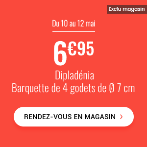 du 10 au 12mai 6,95€ Dipladénia - la barquette de 4 godets de 7cm Rendez-vous en magasin
