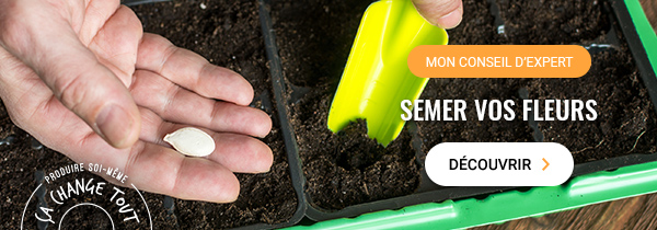 Conseil d'expert : Semer vos fleurs
